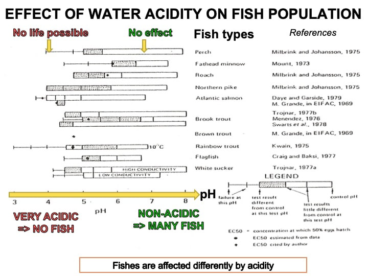 slide23_1_orig